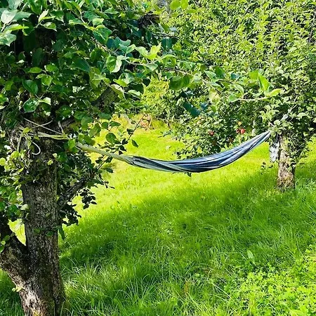 Prestadalen 6 * Sogndal