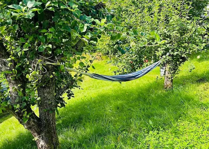 Prestadalen 6 * 桑恩达